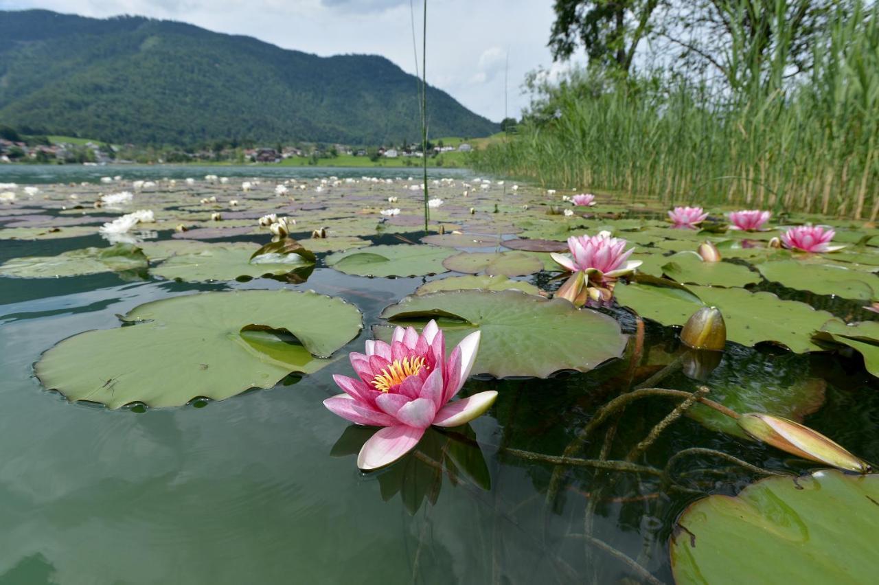 Ticklhof Am See Thiersee Zewnętrze zdjęcie